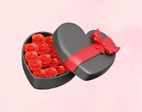 Flower Boxes