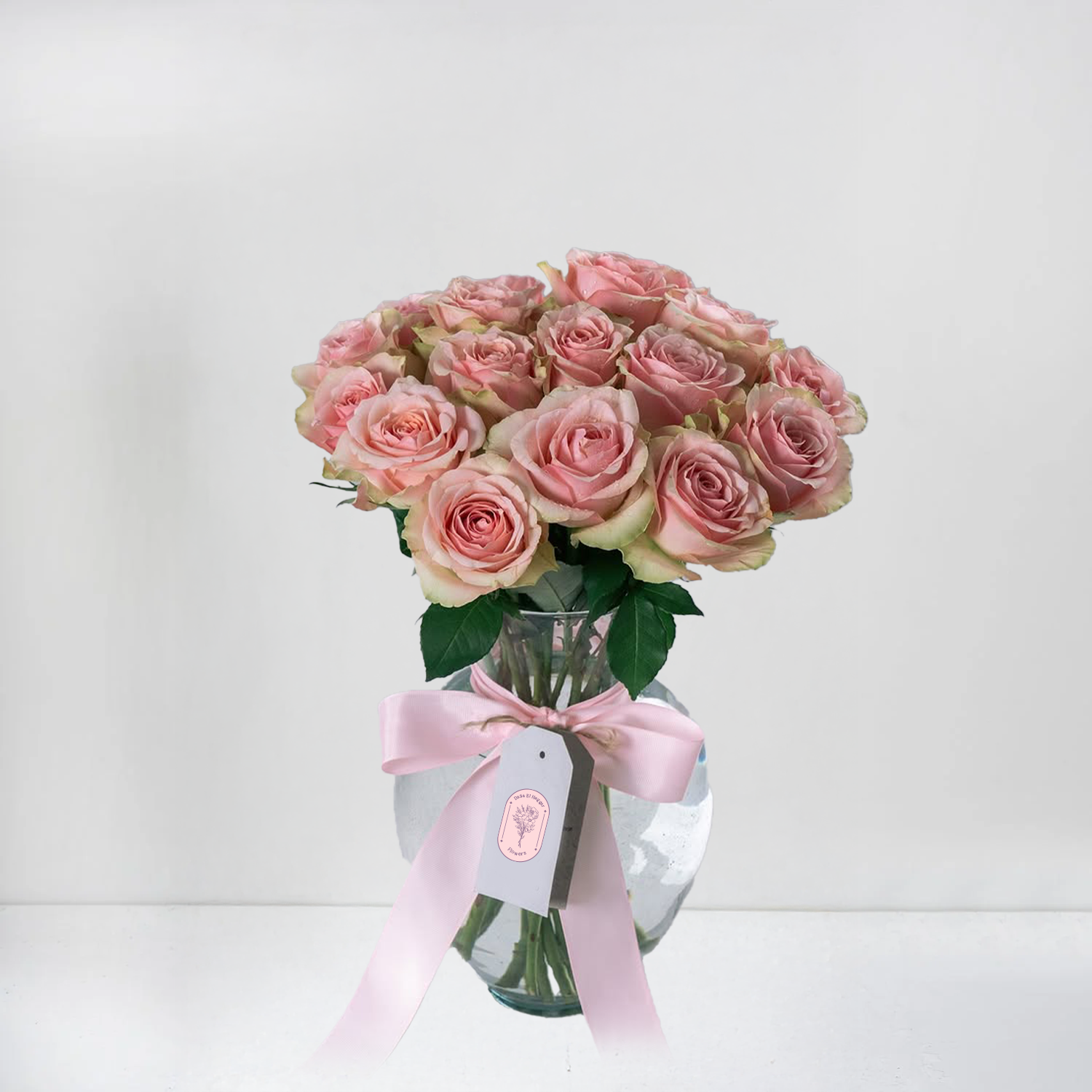 Blush Rose