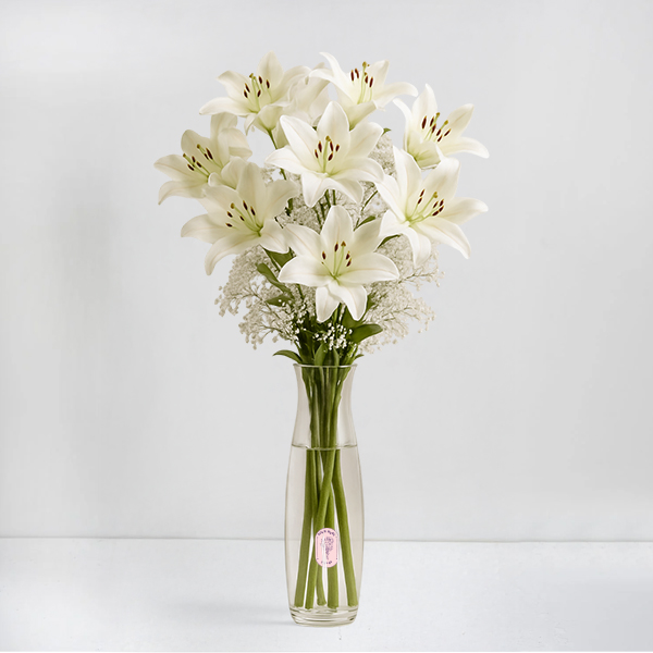White Grace