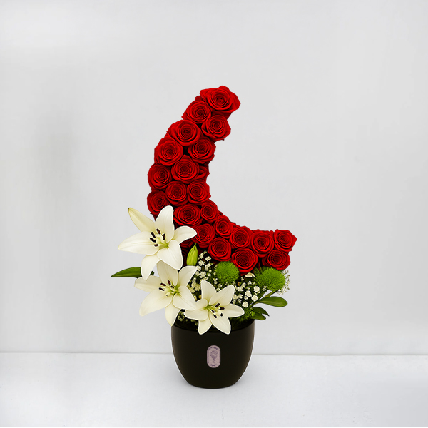 Lunar Passion
