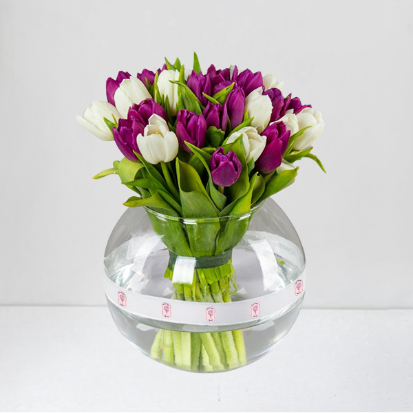 Tulip Harmony