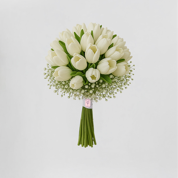 Ivory Tulip